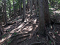 kuki066_thumb.png