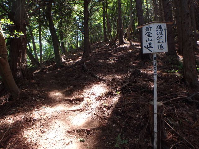 kuki069.jpg