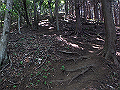 kuki071_thumb.png