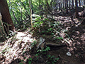 kuki072_thumb.png