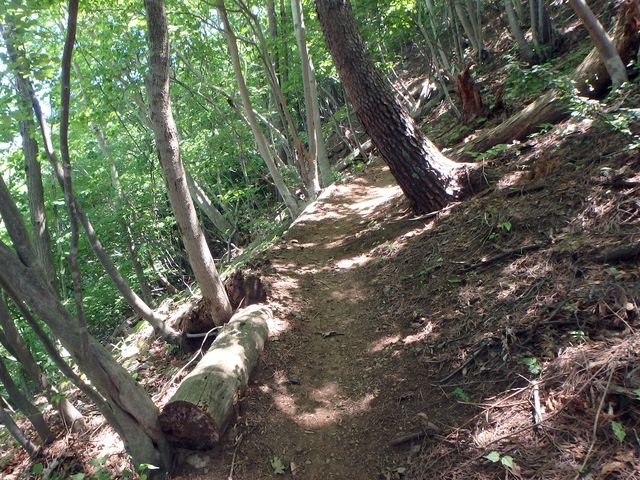 kuki080.jpg