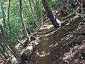 kuki080_thumb.png