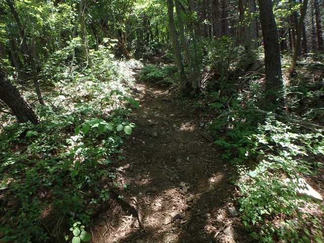 kuki083.jpg