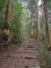 kumano10_thumb.png