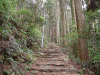 kumano12_thumb.png