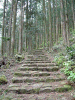 kumano13_thumb.png