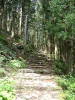 kumano14_thumb.png