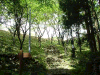 kumano15_thumb.png
