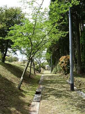 kumano18.JPG