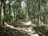kumano21_thumb.png