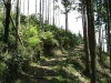 kumano22_thumb.png