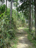 kumano23_thumb.png