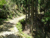 kumano24_thumb.png