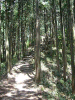 kumano25_thumb.png