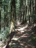 kumano26_thumb.png
