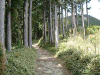 kumano28_thumb.png
