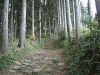 kumano29_thumb.png