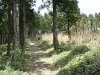 kumano32_thumb.png