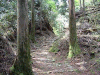 kumano36_thumb.png