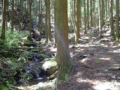 kumano37.JPG