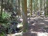 kumano37_thumb.png