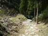 kumano38_thumb.png