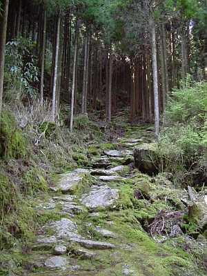 kumano46.JPG