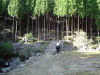 kumano49_thumb.png