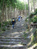 kumano50_thumb.png