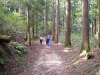 kumano53_thumb.png