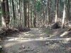 kumano54_thumb.png
