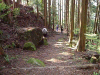 kumano55_thumb.png