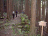 kumano56_thumb.png