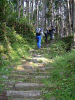kumano62_thumb.png