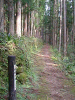 kumano63_thumb.png