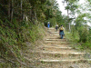 kumano65_thumb.png