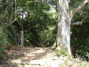 kumano69_thumb.png
