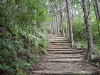 kumano71_thumb.png