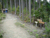 kumano73_thumb.png