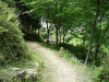 kumano75_thumb.png
