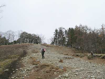 kumo51.jpg