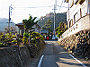 kuratake04_thumb.png