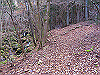 kuratake06_thumb.png