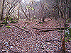 kuratake07_thumb.png