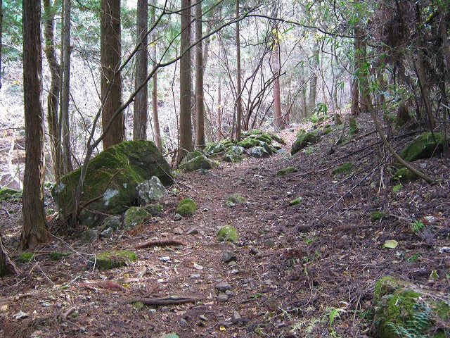 kuratake09.jpg