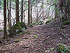 kuratake09_thumb.png