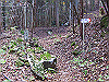 kuratake10_thumb.png