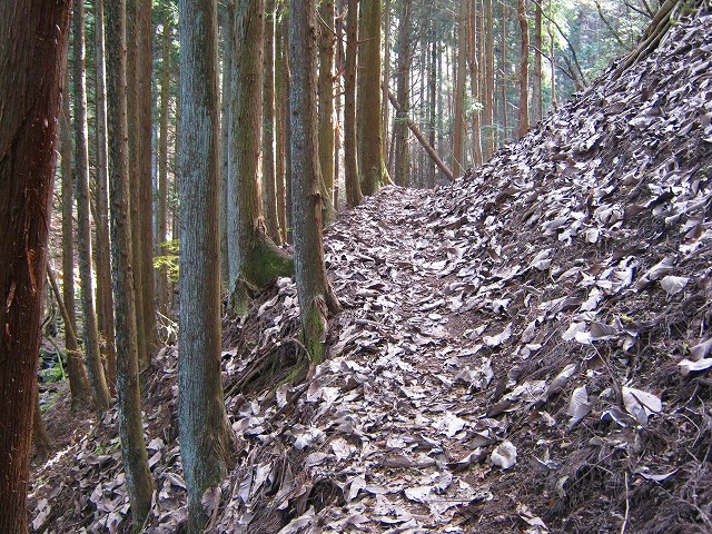 kuratake11.jpg