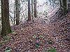 kuratake12_thumb.png