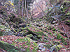 kuratake24_thumb.png